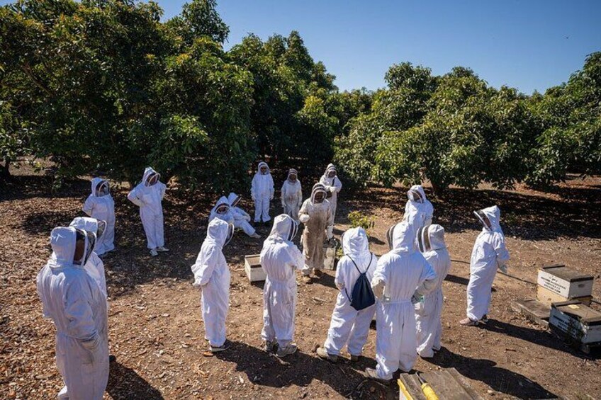 A group of people in protective suits standing in an outdoor area with trees and soil. 5