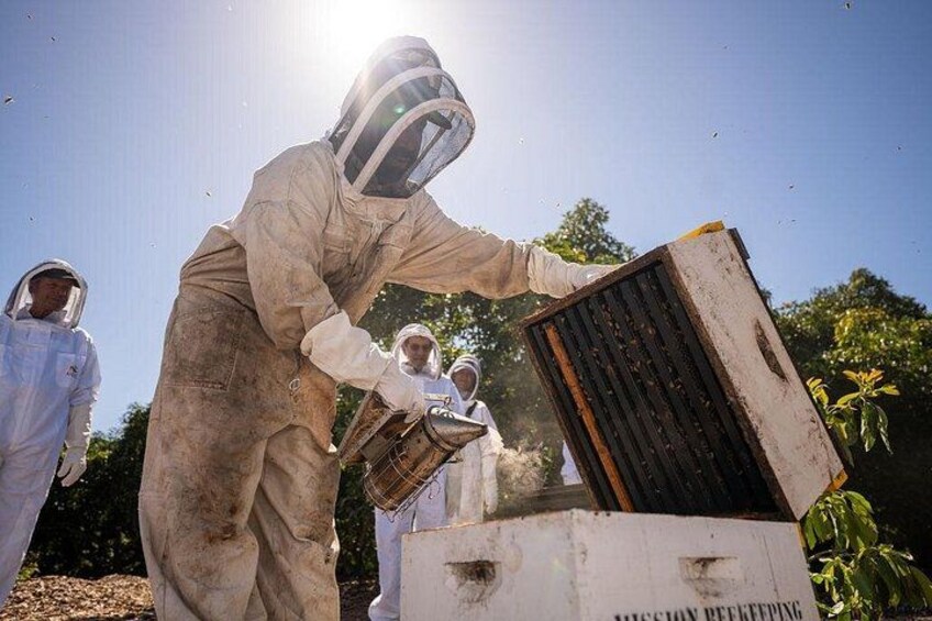 A person in protective suit handling a beehive. 3