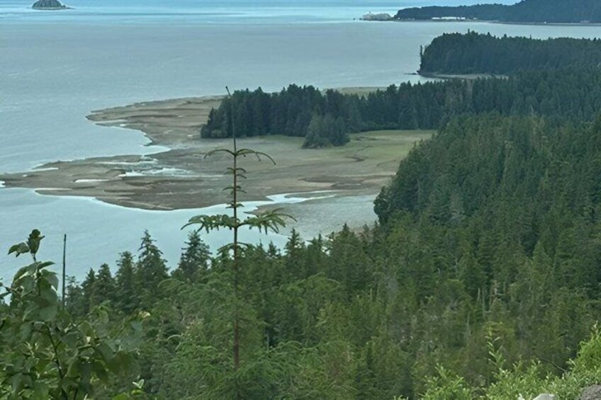 A coastal landscape with a forested area, a sandy beach, and a body of water. 3