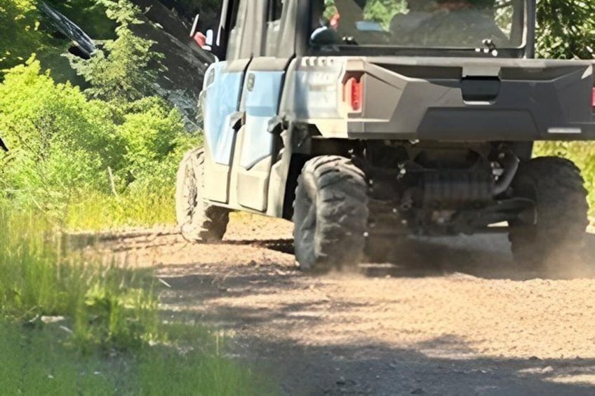 A vehicle driving on a dirt road surrounded by greenery. 5