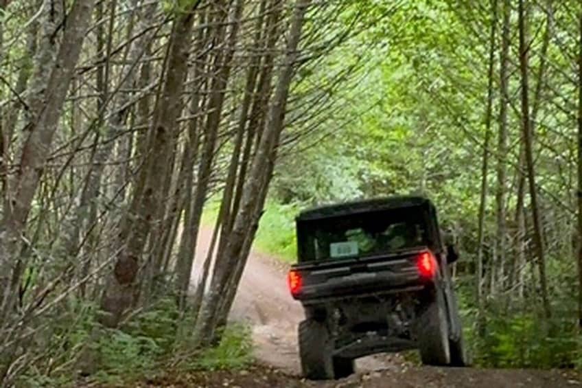 A vehicle driving on a forested dirt road. 5