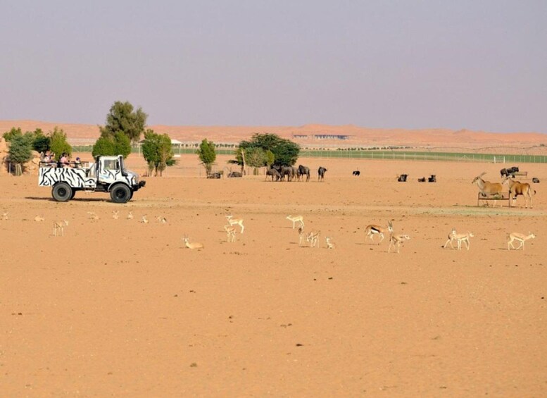 Un véhicule de safari dans un paysage désertique, parsemé d’arbres, avec un troupeau d’antilopes. 1