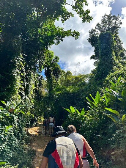 A group of people hiking through a dense forest with a dirt path. 5
