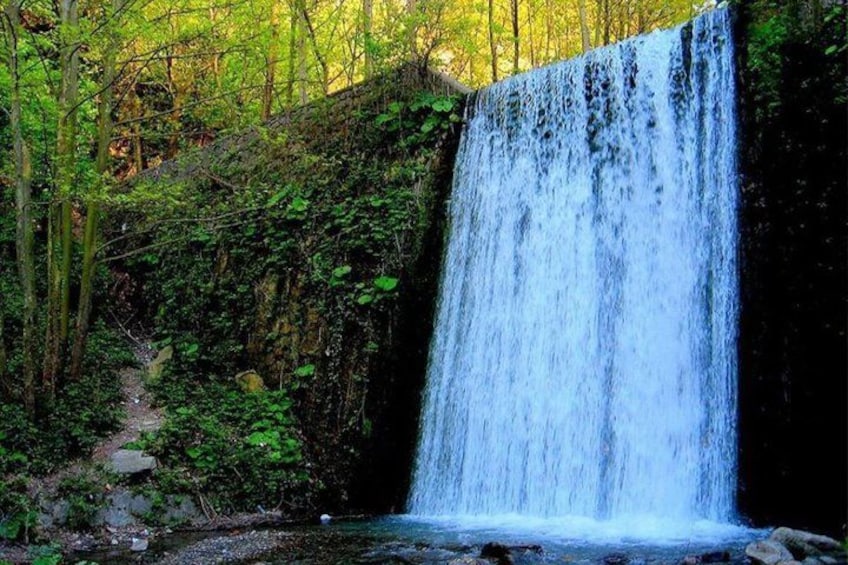 A waterfall surrounded by dense green foliage. 5