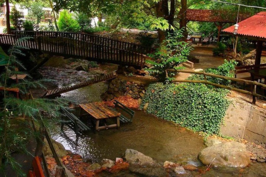 A wooden bridge over a stream, surrounded by lush greenery and a small wooden bench. 3
