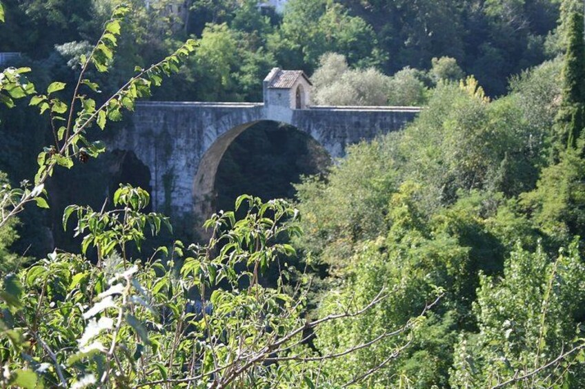 A stone bridge with an arched design, surrounded by lush greenery and trees. 3