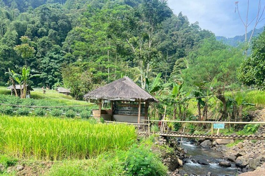 A rural landscape with a thatched-roof structure, a river, and lush greenery. 3