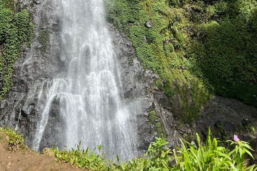 A waterfall cascading down a rocky cliff surrounded by lush greenery. 1