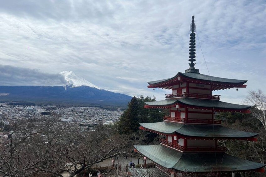 Multi Day Private Japan Tour with Accommodation 5