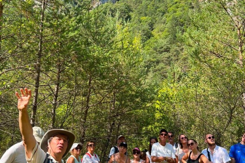 A group of people in a forested area with trees and a mountainous background. 4