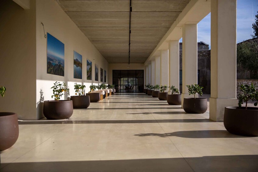 A covered corridor with large potted plants and framed landscape paintings on the walls. 3