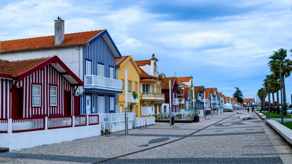 En gade fyldt med farverige bygninger, en klar himmel og palmer. 5
