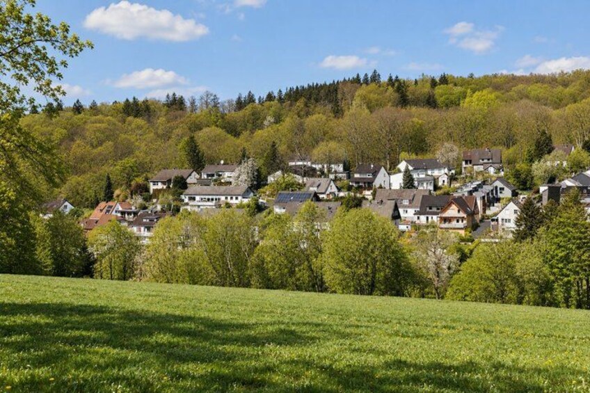 A hillside village with houses, green fields, and trees. 3