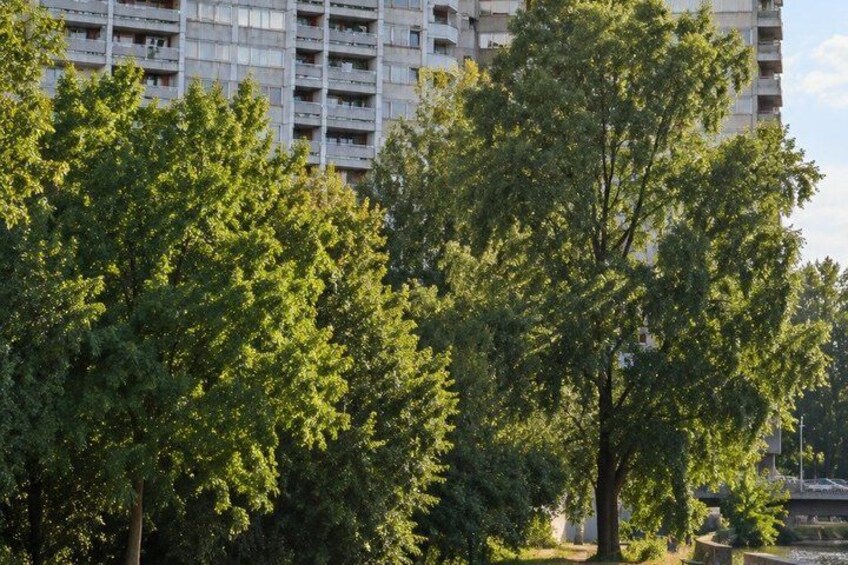 A row of trees in front of a high-rise building. 4