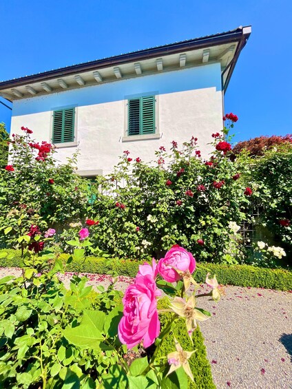 Et hus med hvide facader og grønne skodder, omgivet af en have med rosa og røde roser. 5