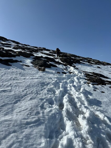 A snowy mountain slope with a person hiking. 2