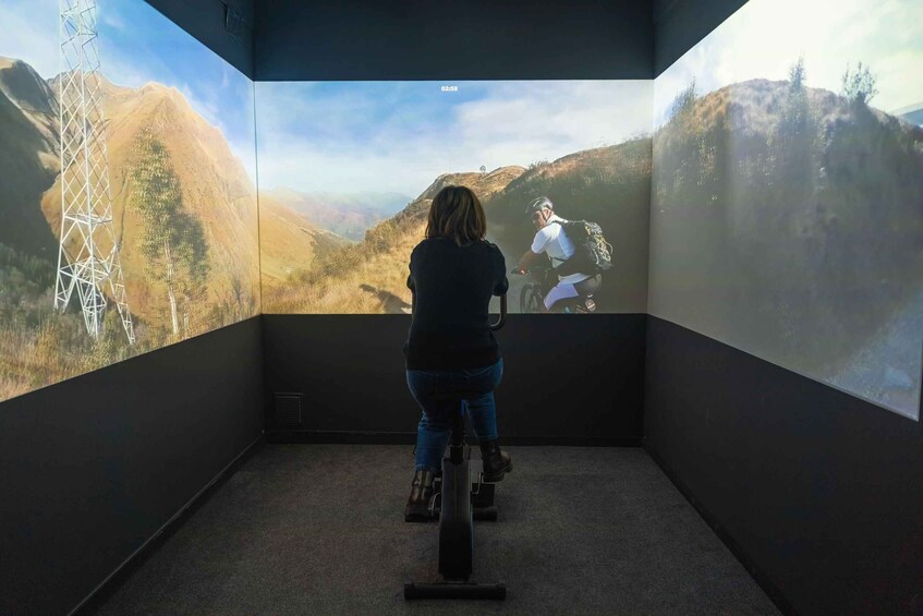 A person observing a large projection of a mountainous landscape. 3