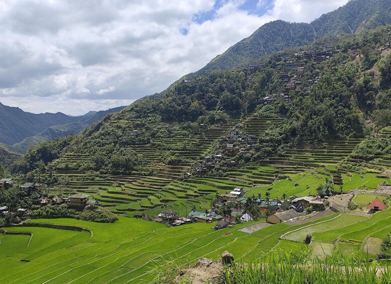 Terraced rice fields, a village, and a mountain. 3