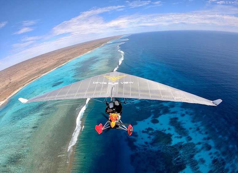 A paraglider flying over a coastal area with clear blue waters and a sandy beach. 5