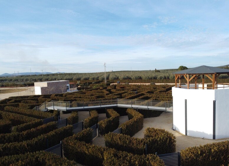 A landscaped area with neatly trimmed hedges, a white building, and a wooden pergola. 2