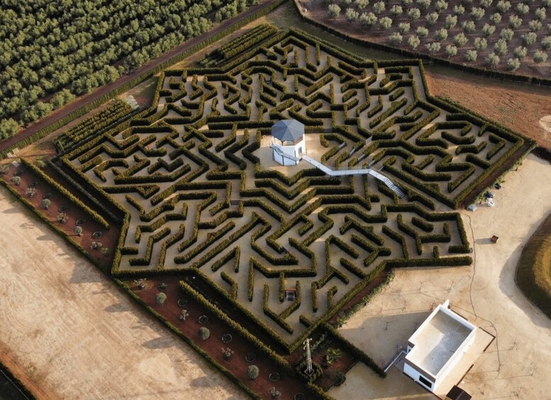An aerial view of a maze garden with a central building and surrounding landscaped areas. 1