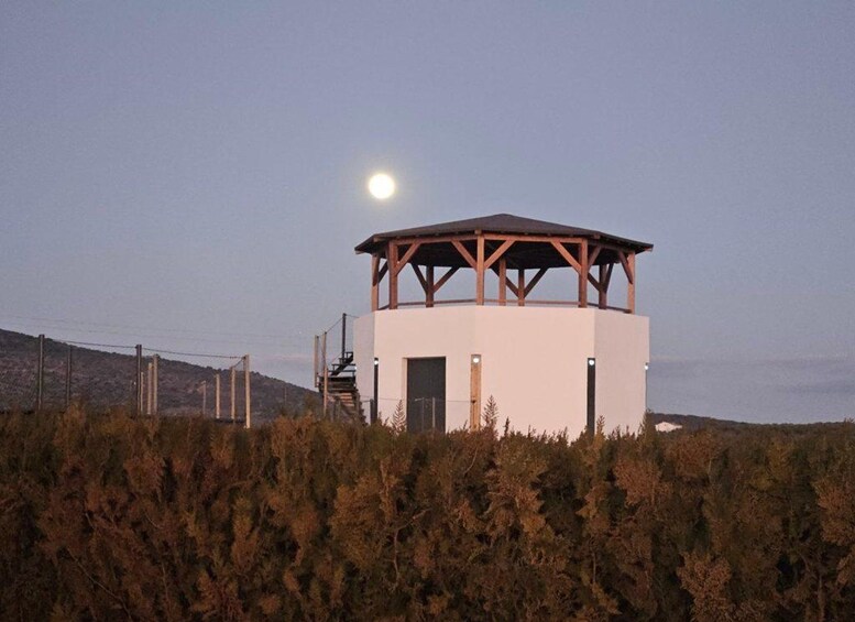 A white building with a wooden roof, surrounded by dense shrubbery, under a clear sky with the moon visible. 4