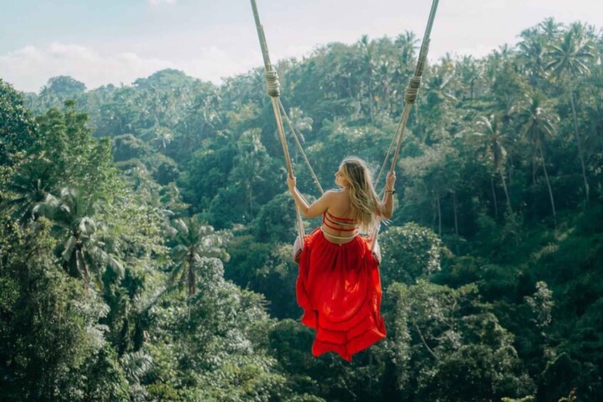 Une personne se balance sur une corde au-dessus d’une forêt luxuriante. 5