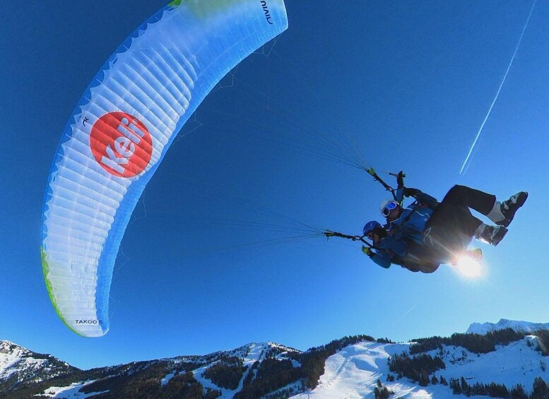 A paraglider with a red logo flying over a snowy mountain range. 5