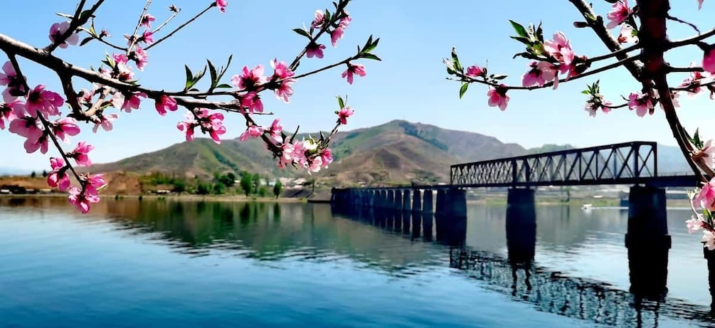 A bridge over a calm river with mountains in the background and pink blossoms on a tree branch. 5