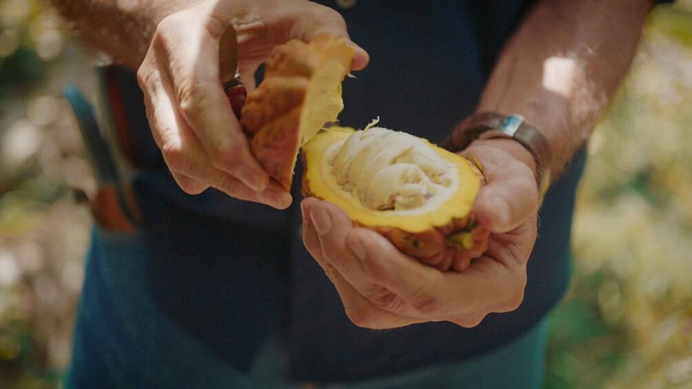 Une personne tenant un fruit coupé en deux, vraisemblablement une mangue, l’accent étant mis sur l’intérieur du fruit. 2