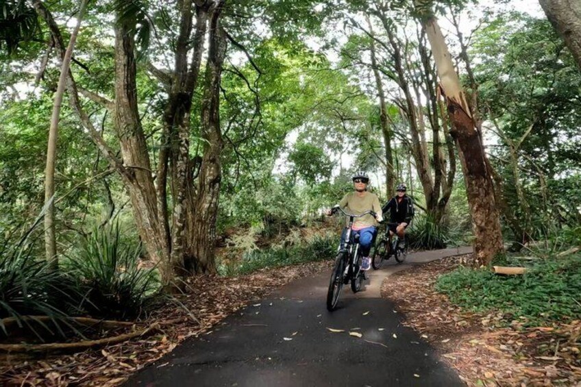 Two cyclists on a forest trail surrounded by trees. 4