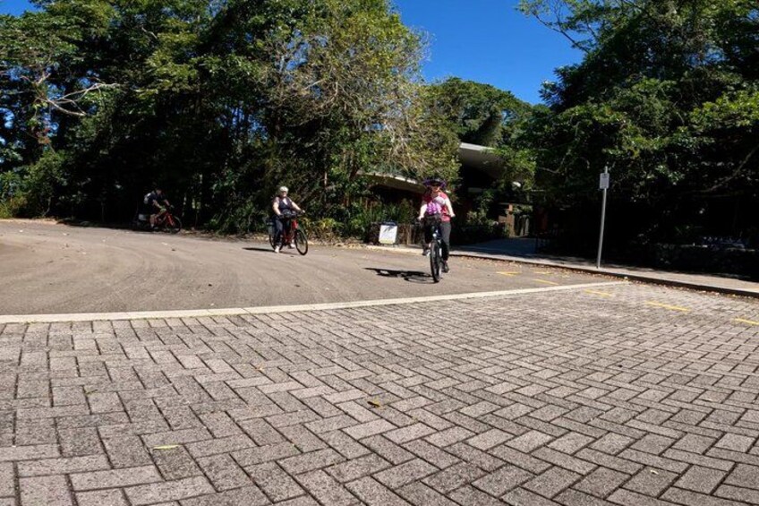 A paved area with cyclists, trees, and a clear sky. 2