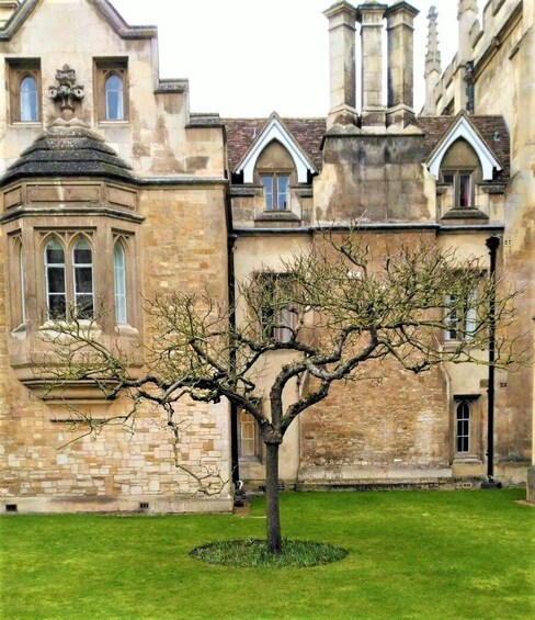 Un bâtiment historique avec un grand arbre devant. 4