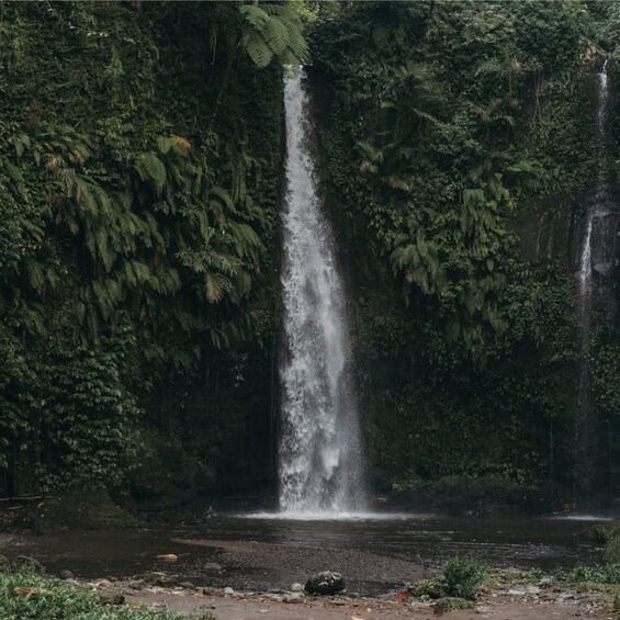 Ein Wasserfall stürzt in einen Fluss, umgeben von dichtem Wald. 3