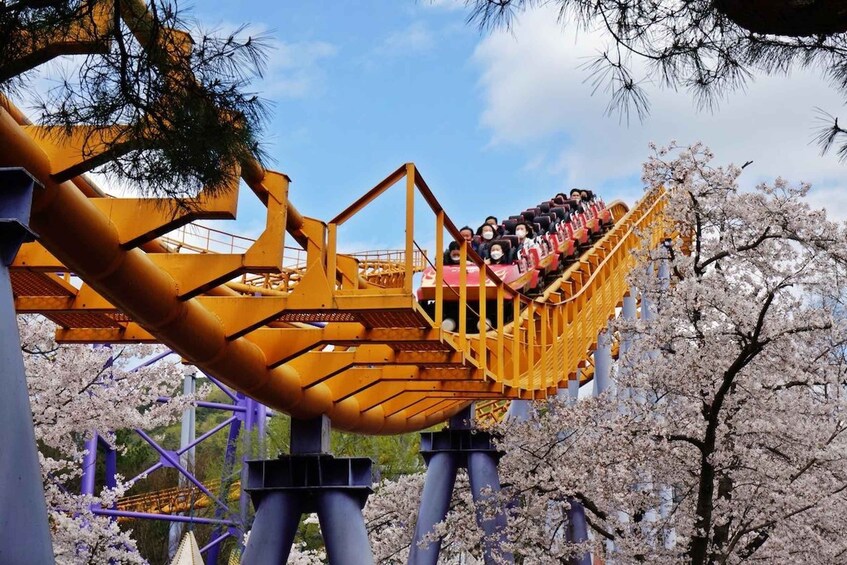 A roller coaster with passengers, surrounded by cherry blossom trees. 4