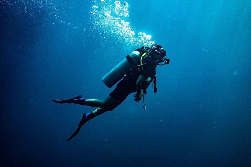 A diver underwater with a scuba tank. 1