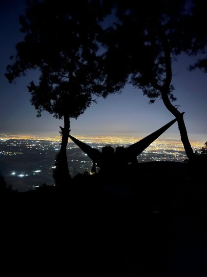 La silhouette d’une personne, les bras levés, se dresse entre deux arbres, sur fond de paysage urbain nocturne. 5