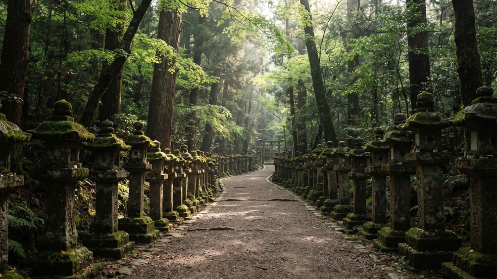 A forest path lined with stone lanterns and totem poles. 3
