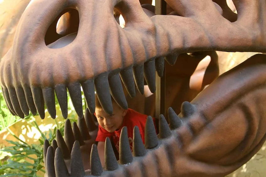 A child inside a dinosaur-themed play structure. 4