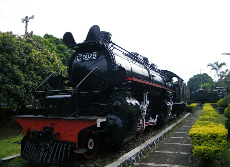 A black steam locomotive with the number CC5029 on a railway track surrounded by greenery. 5