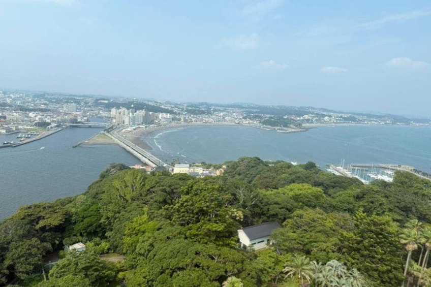 A coastal cityscape with dense greenery in the foreground, a marina, and a bridge connecting two land masses. 3