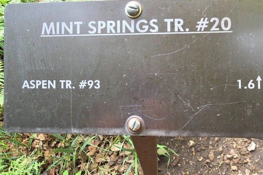 A metal sign with text indicating directions to 'MINT SPRINGS TR. #20' and 'ASPEN TR. #93' with a distance marker of '1.61'. 3