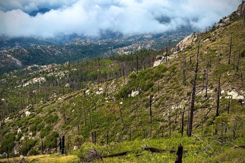 A mountainous landscape with scattered trees, rocky terrain, and a valley in the distance. 2