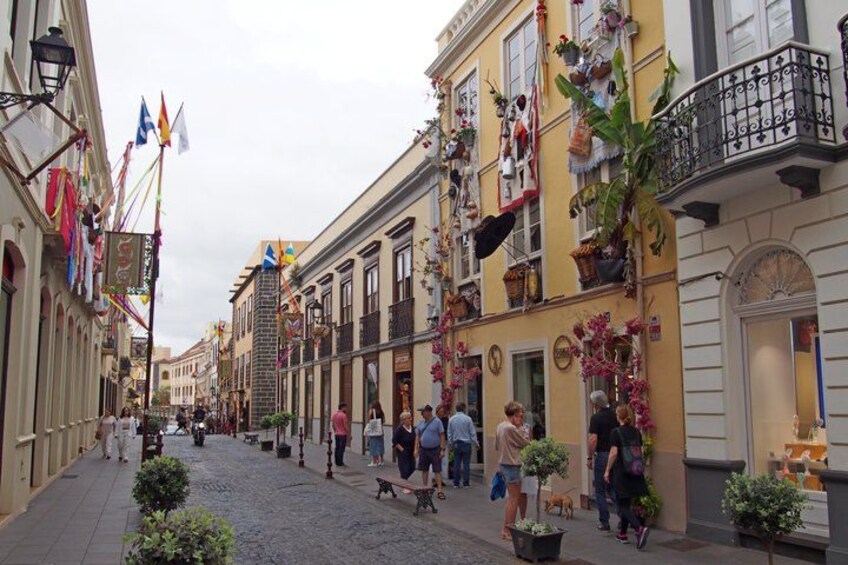 A cobblestone street lined with buildings adorned with colorful flags and potted plants. 1
