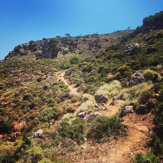 A rugged mountain trail with sparse vegetation and rocky terrain. 5