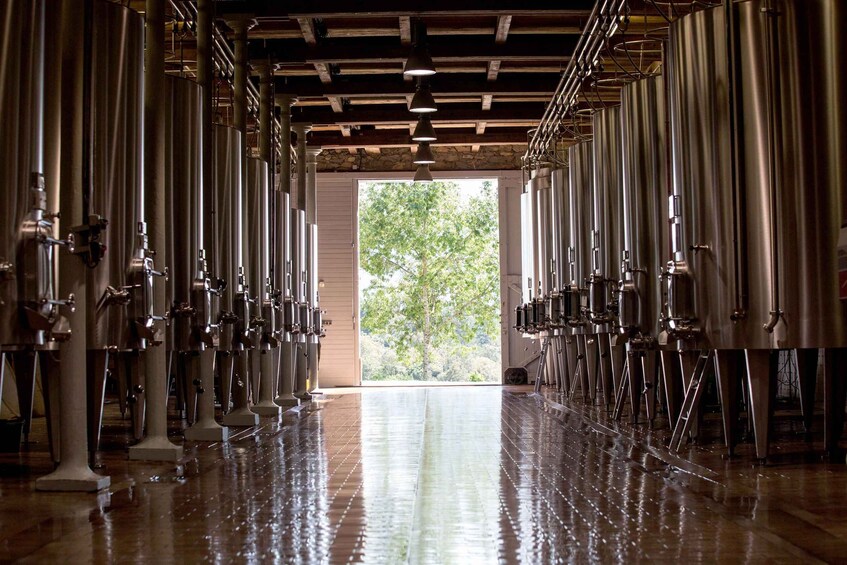 A brewery interior with stainless steel brewing tanks and a wet floor. 3