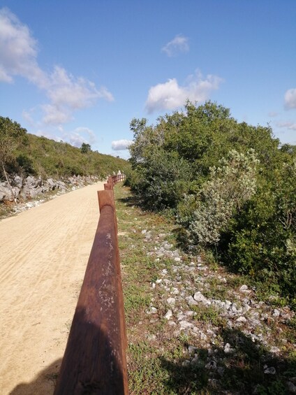 Un sentier sablonneux bordé d’une rambarde en bois, entouré d’un terrain rocheux et d’une végétation dense. 3