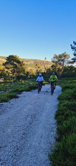 Deux cyclistes sur un chemin de gravier, entourés de verdure et d’arbres. 5