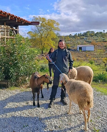Una persona guiando a dos cabras por un camino de grava, con un paisaje rural de fondo. 1