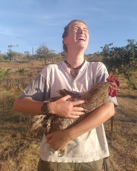 Una persona sosteniendo un pollo en un campo con árboles al fondo. 4